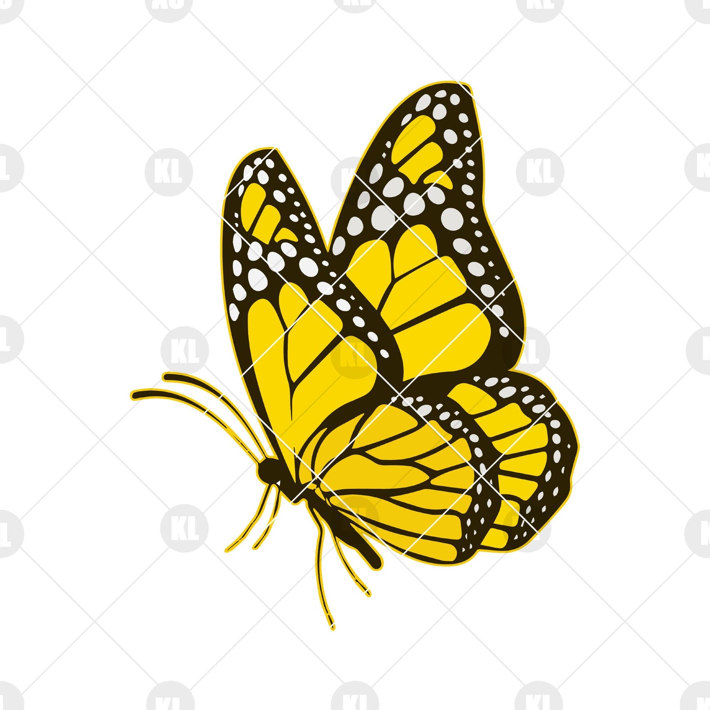 Butterfly Digital Cut Files Svg, Dxf, Eps, Png, Cricut Vector, Digital Cut Files Download