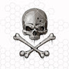 Decrepit skull with two crossed bones vector