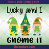 Lucky and I Gnome it - Happy St Patrick's Day Svg - png - eps - dxf vector files for Silhouette Cameo, Cricut, clipart for DIY gifts - Doranstars.com