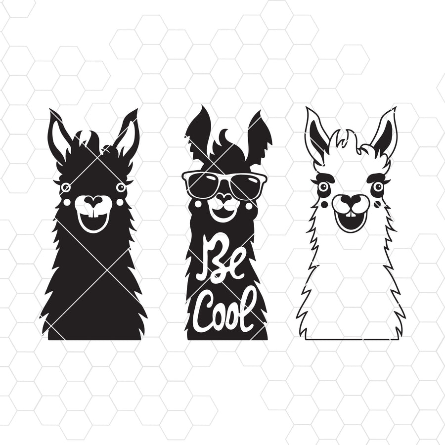 Be Cool Digital Cut Files Svg, Dxf, Eps, Png, Cricut Vector, Digital Cut Files Download